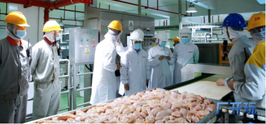 强强联合赋能品质升级 乖宝宠物食品集团携手凤祥食品鲜肉供应链深耕高端宠食赛道