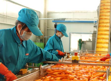 青海年产5000吨胡萝卜浓缩汁生产线投产 推动特色食品产业升级